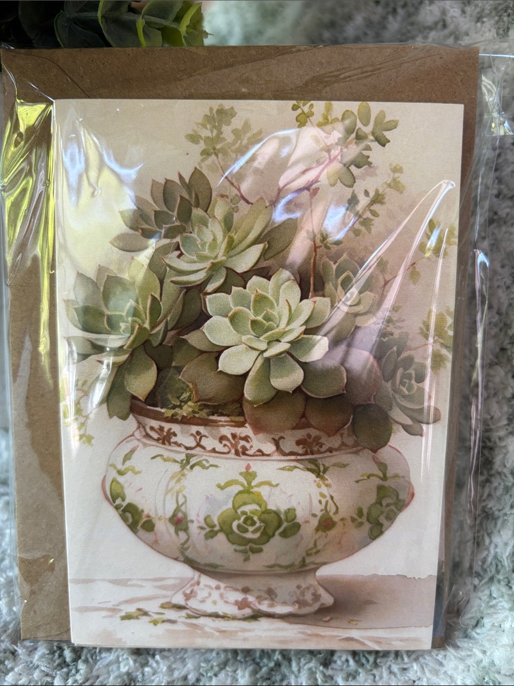 Succulents in Floral Vase Note Cards Variety Set of 6 NWT